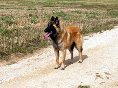 (36)zárí 2006